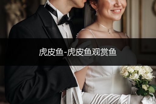 虎皮魚-虎皮魚觀賞魚