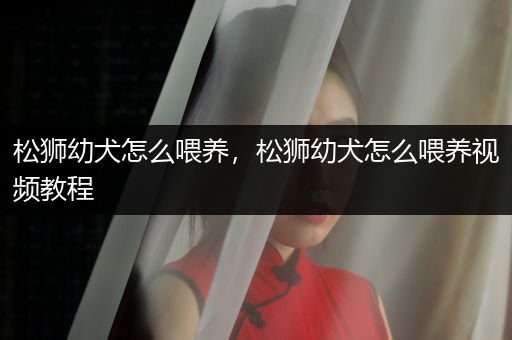 松獅幼犬怎么喂養(yǎng)，松獅幼犬怎么喂養(yǎng)視頻教程