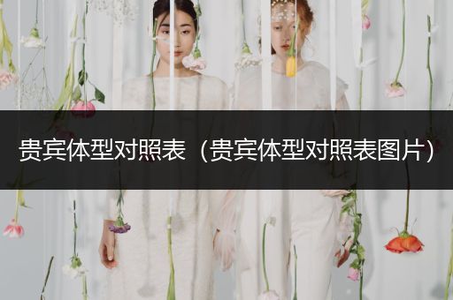 貴賓體型對照表（貴賓體型對照表圖片）