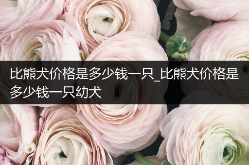 比熊犬價(jià)格是多少錢一只_比熊犬價(jià)格是多少錢一只幼犬