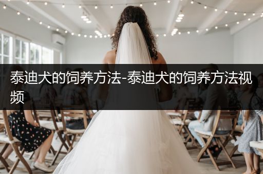 泰迪犬的飼養(yǎng)方法-泰迪犬的飼養(yǎng)方法視頻