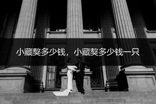 小藏獒多少錢，小藏獒多少錢一只