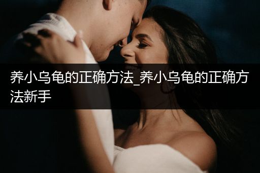 養(yǎng)小烏龜?shù)恼_方法_養(yǎng)小烏龜?shù)恼_方法新手