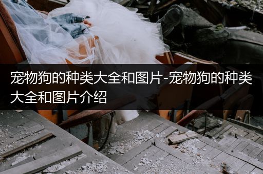 寵物狗的種類大全和圖片-寵物狗的種類大全和圖片介紹