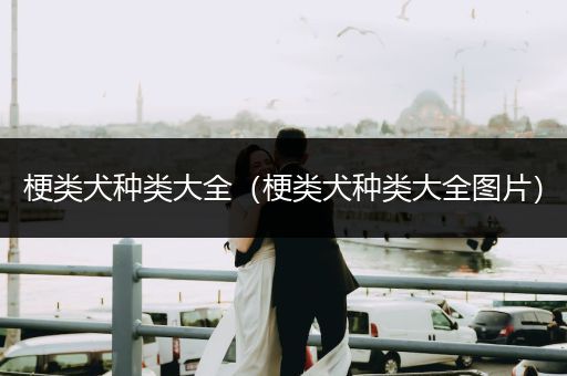 梗類犬種類大全（梗類犬種類大全圖片）