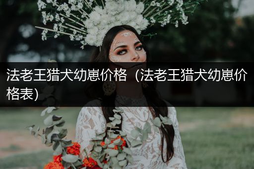 法老王獵犬幼崽價格（法老王獵犬幼崽價格表）