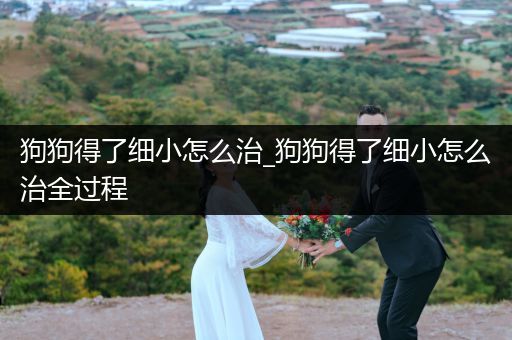 狗狗得了細小怎么治_狗狗得了細小怎么治全過程