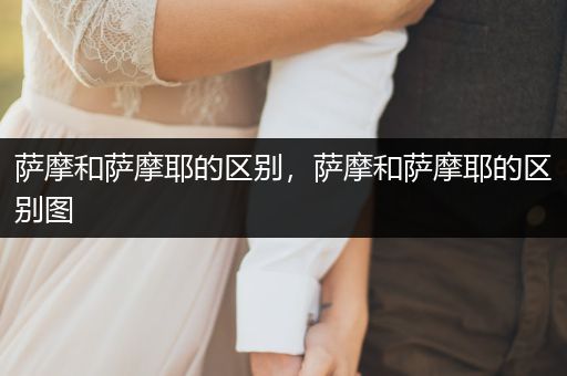 薩摩和薩摩耶的區(qū)別，薩摩和薩摩耶的區(qū)別圖