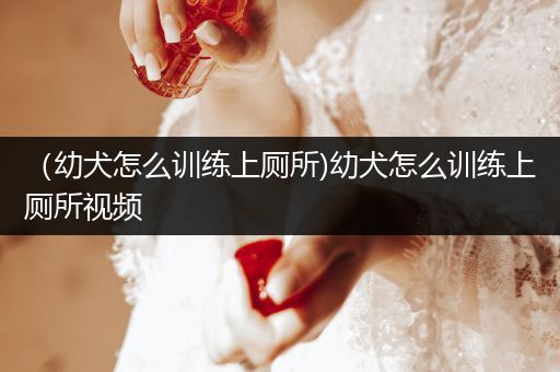 （幼犬怎么訓(xùn)練上廁所)幼犬怎么訓(xùn)練上廁所視頻