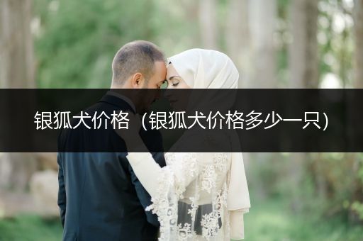 銀狐犬價(jià)格（銀狐犬價(jià)格多少一只）