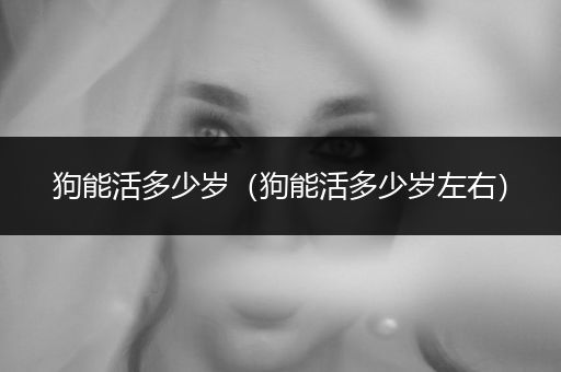狗能活多少歲（狗能活多少歲左右）