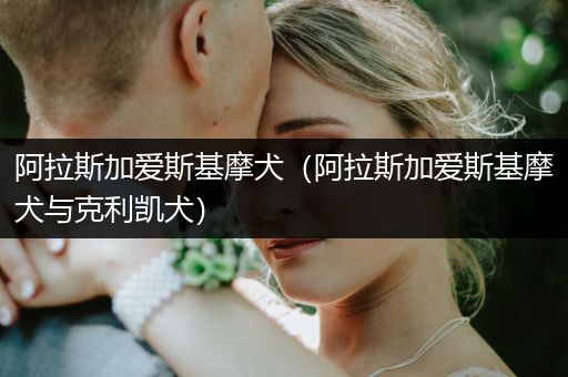 阿拉斯加愛斯基摩犬（阿拉斯加愛斯基摩犬與克利凱犬）