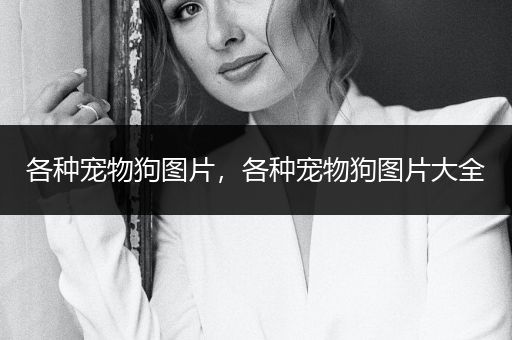 各種寵物狗圖片，各種寵物狗圖片大全