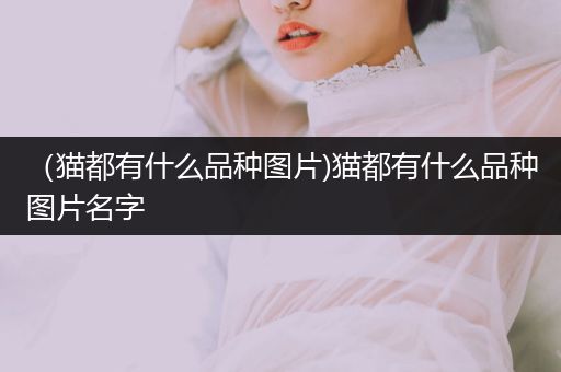 （貓都有什么品種圖片)貓都有什么品種圖片名字