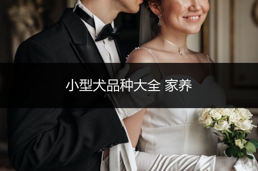 小型犬品種大全 家養(yǎng)