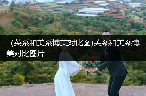 （英系和美系博美對比圖)英系和美系博美對比圖片