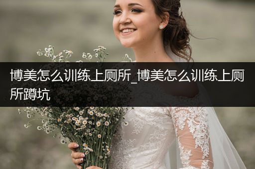 博美怎么訓(xùn)練上廁所_博美怎么訓(xùn)練上廁所蹲坑