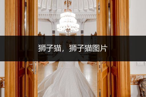 獅子貓，獅子貓圖片