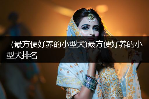 （最方便好養(yǎng)的小型犬)最方便好養(yǎng)的小型犬排名