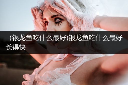 （銀龍魚吃什么最好)銀龍魚吃什么最好長得快