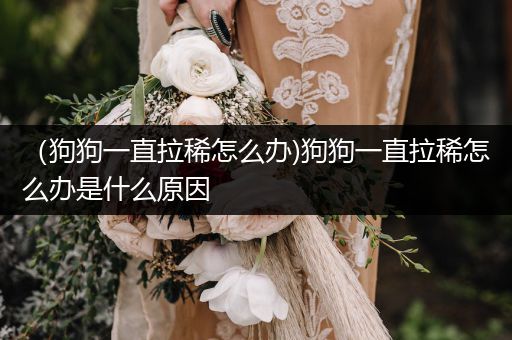 （狗狗一直拉稀怎么辦)狗狗一直拉稀怎么辦是什么原因