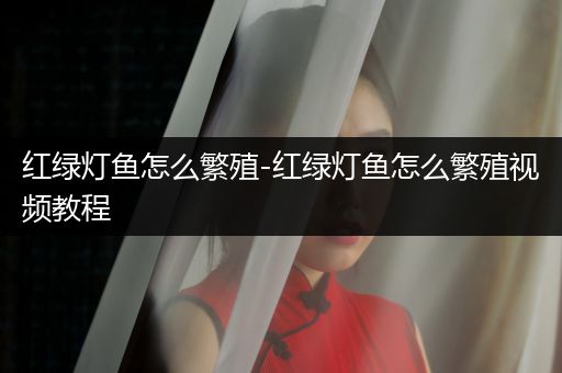 紅綠燈魚怎么繁殖-紅綠燈魚怎么繁殖視頻教程