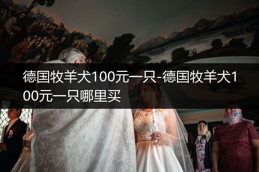 德國牧羊犬100元一只-德國牧羊犬100元一只哪里買