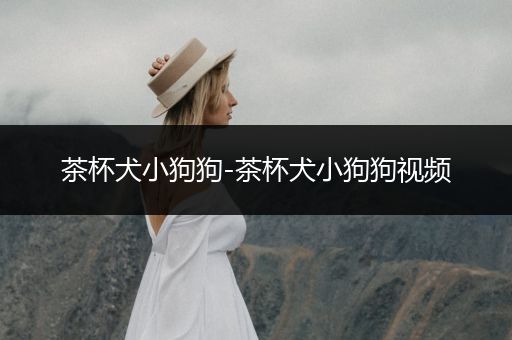 茶杯犬小狗狗-茶杯犬小狗狗視頻