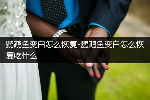 鸚鵡魚變白怎么恢復-鸚鵡魚變白怎么恢復吃什么