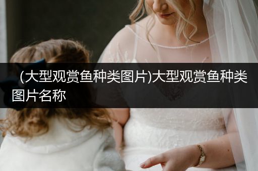 （大型觀賞魚種類圖片)大型觀賞魚種類圖片名稱
