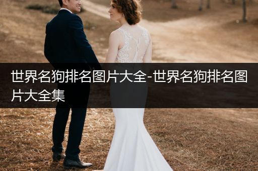 世界名狗排名圖片大全-世界名狗排名圖片大全集