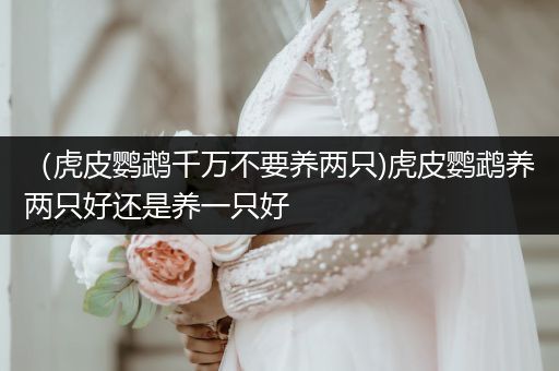 （虎皮鸚鵡千萬(wàn)不要養(yǎng)兩只)虎皮鸚鵡養(yǎng)兩只好還是養(yǎng)一只好