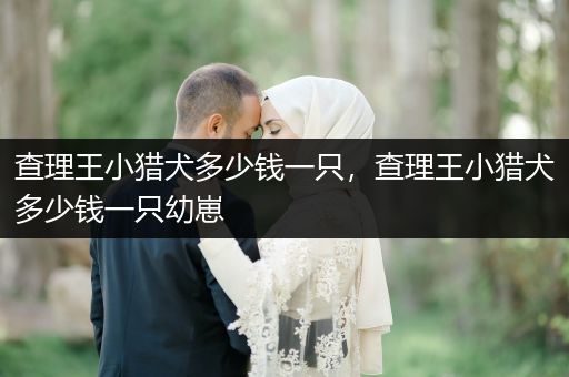 查理王小獵犬多少錢一只，查理王小獵犬多少錢一只幼崽