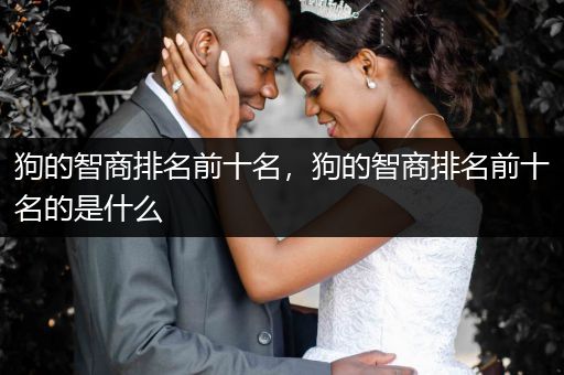狗的智商排名前十名，狗的智商排名前十名的是什么