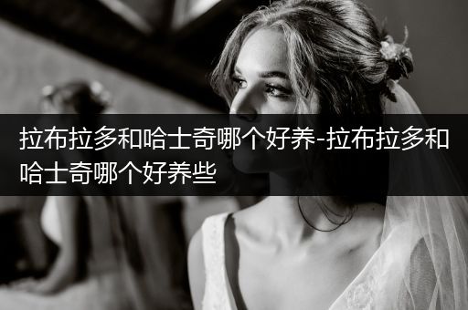 拉布拉多和哈士奇哪個好養(yǎng)-拉布拉多和哈士奇哪個好養(yǎng)些