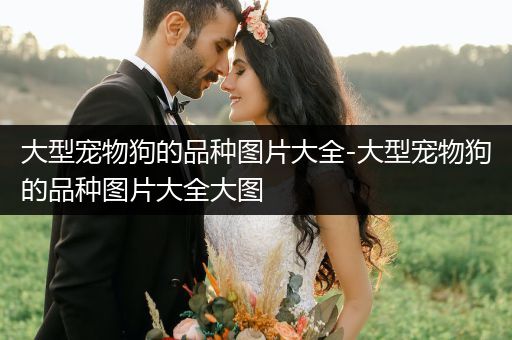 大型寵物狗的品種圖片大全-大型寵物狗的品種圖片大全大圖