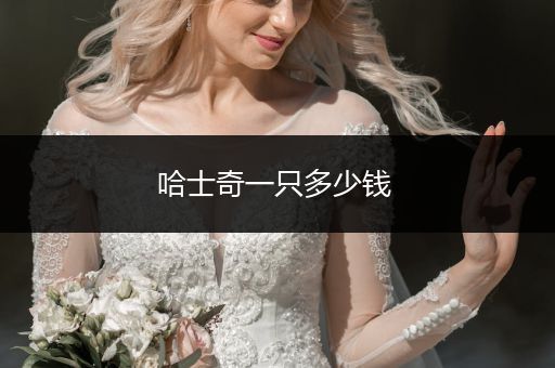 哈士奇一只多少錢 