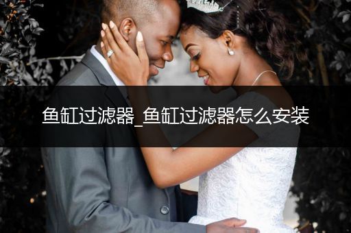 魚缸過(guò)濾器_魚缸過(guò)濾器怎么安裝