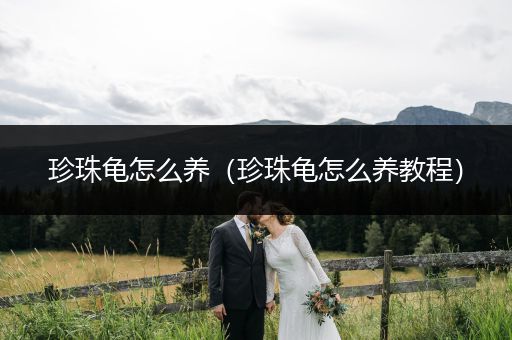 珍珠龜怎么養(yǎng)（珍珠龜怎么養(yǎng)教程）