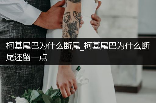 柯基尾巴為什么斷尾_柯基尾巴為什么斷尾還留一點