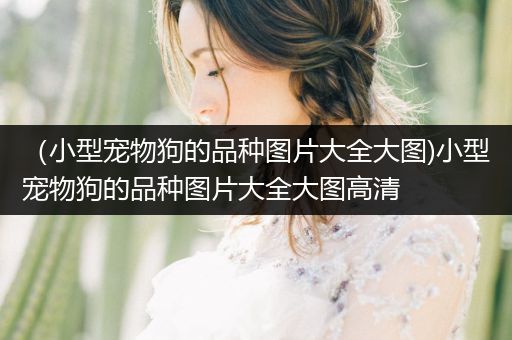 （小型寵物狗的品種圖片大全大圖)小型寵物狗的品種圖片大全大圖高清