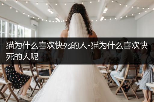 貓為什么喜歡快死的人-貓為什么喜歡快死的人呢