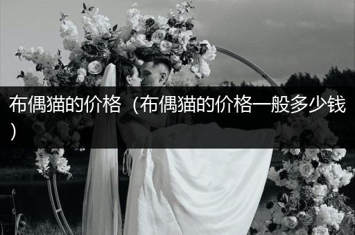 布偶貓的價(jià)格（布偶貓的價(jià)格一般多少錢）