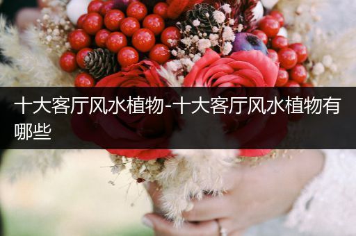 十大客廳風(fēng)水植物-十大客廳風(fēng)水植物有哪些