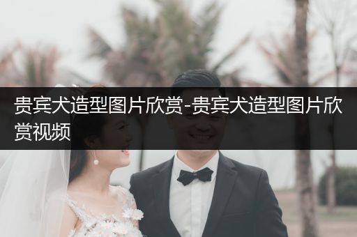 貴賓犬造型圖片欣賞-貴賓犬造型圖片欣賞視頻