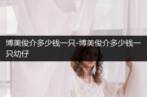 博美俊介多少錢一只-博美俊介多少錢一只幼仔