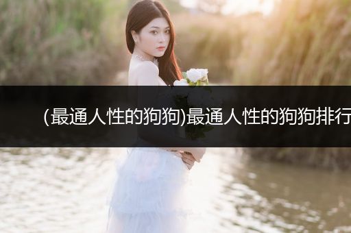 （最通人性的狗狗)最通人性的狗狗排行