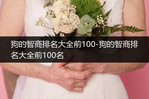 狗的智商排名大全前100-狗的智商排名大全前100名