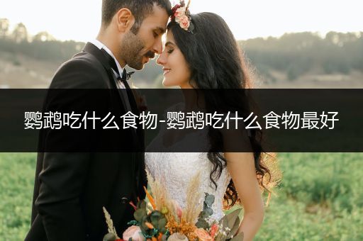 鸚鵡吃什么食物-鸚鵡吃什么食物最好