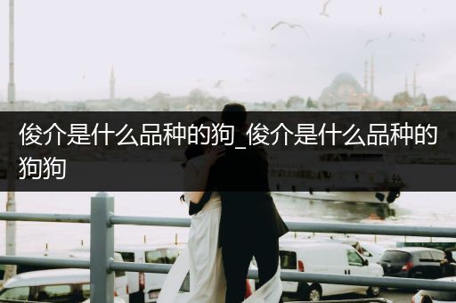 俊介是什么品種的狗_俊介是什么品種的狗狗